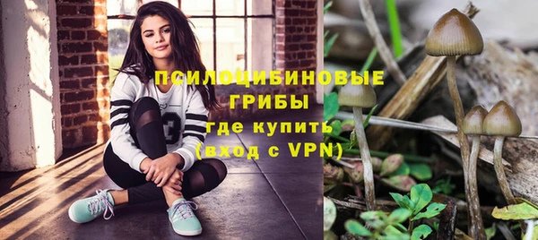 дмт Балахна