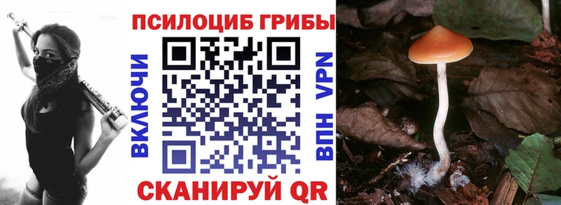закладка  Красково  гидра зеркало  Галлюциногенные грибы мицелий 